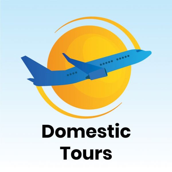 Domestic Tours